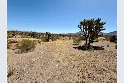 17837 Kitmit Drive, Dolan Springs, AZ 86441 - Photo 3