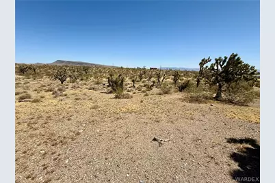 17837 Kitmit Drive, Dolan Springs, AZ 86441 - Photo 3