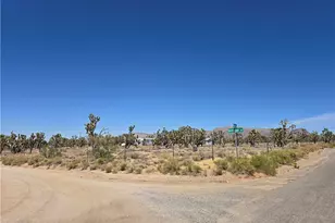 26012 N Driftwood Dr, Meadview, AZ 86444 - Photo 31