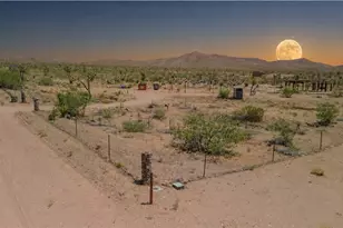 8586 W McGrath Dr, White Hills, AZ 86445 - Photo 1