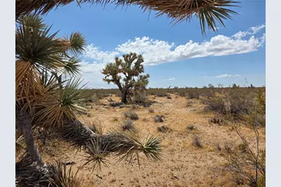 Parcel 2328 S Tom Mix Road, Yucca, AZ 86438 - Photo 11