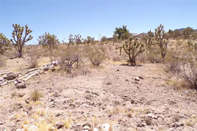 328-04-210 N Magnolia Drive, Dolan Springs, AZ 86441 - Photo 7