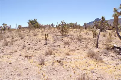 328-04-210 N Magnolia Drive, Dolan Springs, AZ 86441 - Photo 11