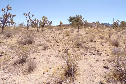 328-04-210 N Magnolia Drive, Dolan Springs, AZ 86441 - Photo 13
