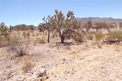 328-04-210 N Magnolia Drive, Dolan Springs, AZ 86441 - Photo 5