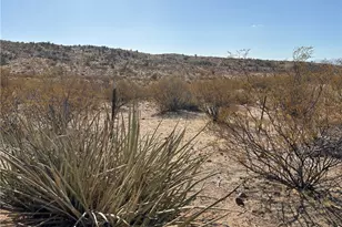 5720 S Mountain Lion Rd, Kingman, AZ 86401 - Photo 15