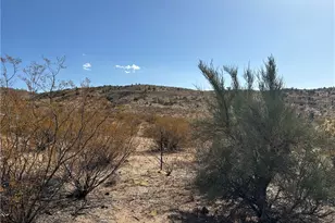 5720 S Mountain Lion Rd, Kingman, AZ 86401 - Photo 7