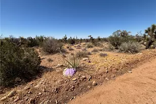 134 Hillside Dr Parcel 134, Yucca, AZ 86438 - Photo 1