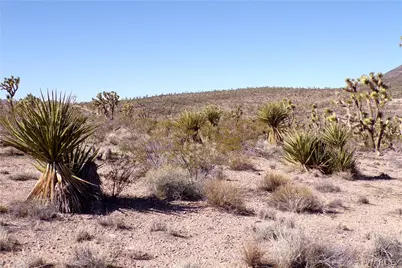 327-04-169 Mt Tipton, Dolan Springs, AZ 86441 - Photo 15