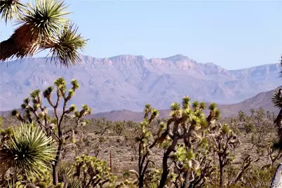 327-04-169 Mt Tipton, Dolan Springs, AZ 86441 - Photo 5