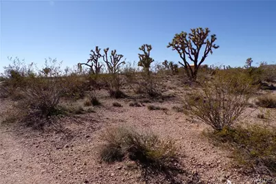 327-04-169 Mt Tipton, Dolan Springs, AZ 86441 - Photo 7