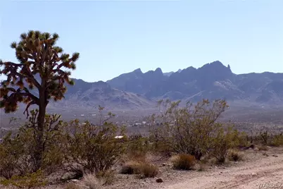 327-04-169 Mt Tipton, Dolan Springs, AZ 86441 - Photo 3