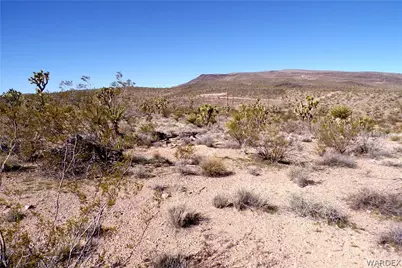 327-04-169 Mt Tipton, Dolan Springs, AZ 86441 - Photo 13