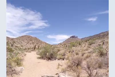 328-06-437 N Mt Tipton Drive, Dolan Springs, AZ 86441 - Photo 33
