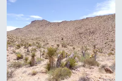 328-06-437 N Mt Tipton Drive, Dolan Springs, AZ 86441 - Photo 17