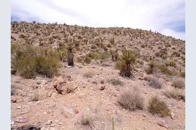 328-06-437 N Mt Tipton Drive, Dolan Springs, AZ 86441 - Photo 27