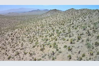 328-06-437 N Mt Tipton Drive, Dolan Springs, AZ 86441 - Photo 43