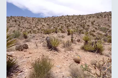 328-06-437 N Mt Tipton Drive, Dolan Springs, AZ 86441 - Photo 21