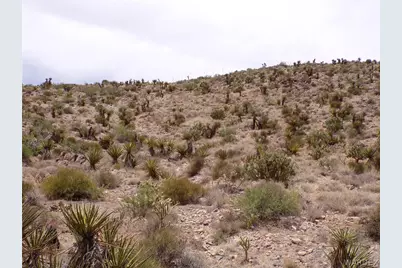 328-06-437 N Mt Tipton Drive, Dolan Springs, AZ 86441 - Photo 13