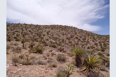 328-06-437 N Mt Tipton Drive, Dolan Springs, AZ 86441 - Photo 19