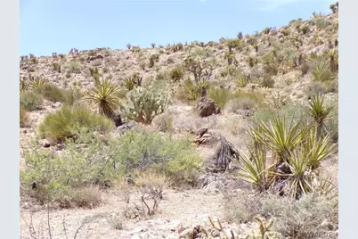 328-06-437 N Mt Tipton Drive, Dolan Springs, AZ 86441 - Photo 15