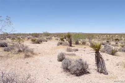 351-13-025 N Earls Road, Dolan Springs, AZ 86441 - Photo 15