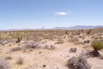 351-13-025 N Earls Road, Dolan Springs, AZ 86441 - Photo 13