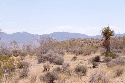 351-13-025 N Earls Road, Dolan Springs, AZ 86441 - Photo 25