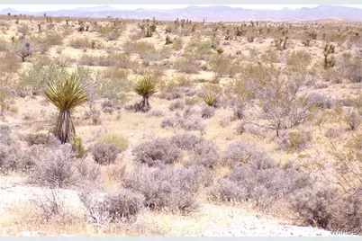 351-13-025 N Earls Road, Dolan Springs, AZ 86441 - Photo 17