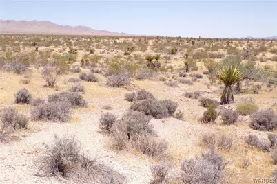 351-13-025 N Earls Road, Dolan Springs, AZ 86441 - Photo 19