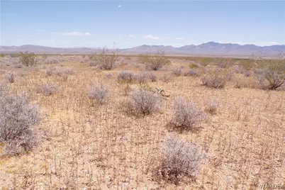 317-19-052 N Jerry Road, Dolan Springs, AZ 86441 - Photo 19
