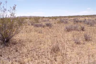 317-19-052 N Jerry Road, Dolan Springs, AZ 86441 - Photo 31