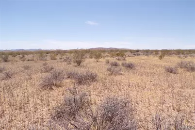 317-19-052 N Jerry Road, Dolan Springs, AZ 86441 - Photo 17