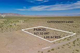 317-32-096 W 13th St, Dolan Springs, AZ 86441 - Photo 1