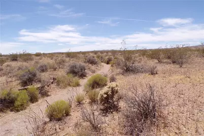 317-19-002C 1st Street, Dolan Springs, AZ 86441 - Photo 11