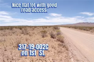 317-19-002C 1st St, Dolan Springs, AZ 86441 - Photo 1