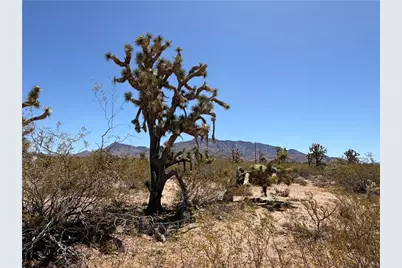 336-14-036 Elder Road, Meadview, AZ 86444 - Photo 13
