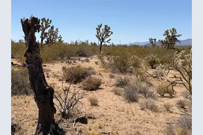 336-14-036 Elder Road, Meadview, AZ 86444 - Photo 7