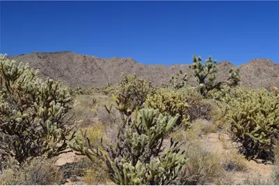 11300 S Dennis Road, Yucca, AZ 86438 - Photo 3