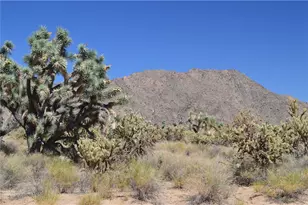 11300 S Dennis Rd, Yucca, AZ 86438 - Photo 1