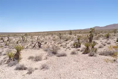 337-16-307 Gladiola Road, Meadview, AZ 86444 - Photo 5