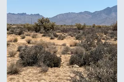 340-13-087 Silver Sage, Dolan Springs, AZ 86441 - Photo 3