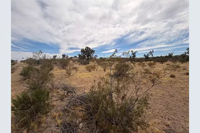 17773 Laurel Drive, Dolan Springs, AZ 86441 - Photo 3