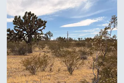 17773 Laurel Drive, Dolan Springs, AZ 86441 - Photo 5