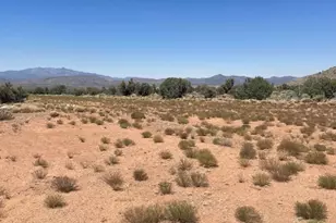 353-30-042 Indian Rice Rd, Kingman, AZ 86401 - Photo 1