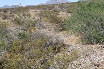 339-17-027 Greer, Golden Valley, AZ 86413 - Photo 7