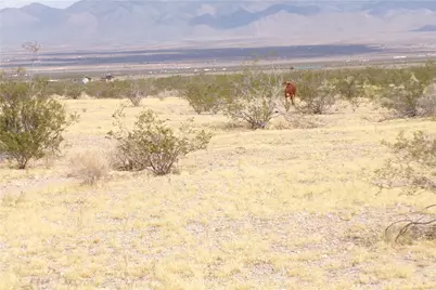 317-17-056 N Wrights Road, Dolan Springs, AZ 86441 - Photo 17
