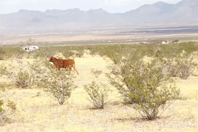 317-17-056 N Wrights Road, Dolan Springs, AZ 86441 - Photo 19
