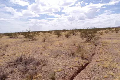 317-17-056 N Wrights Road, Dolan Springs, AZ 86441 - Photo 15