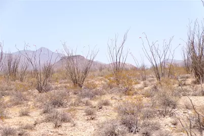 245-24-125 Rainbow Road, Yucca, AZ 86438 - Photo 15